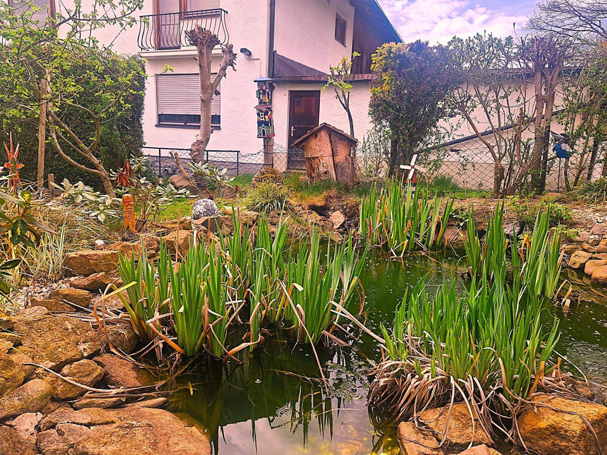 Pension Landhaus Koller - Adults Only Bodenmais Bagian luar foto